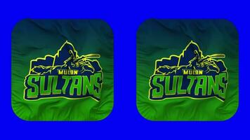 multan sultans, SP drapeau dans écuyer forme isolé avec plaine et bosse texture, 3d le rendu, vert filtrer, alpha mat video