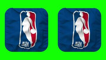 nationaal basketbal vereniging, nba vlag in schildknaap vorm geïsoleerd met duidelijk en buil textuur, 3d weergave, groen scherm, alpha matte video