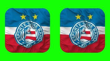 Esporte Clube Bahia Flag in Squire Shape Isolated with Plain and Bump Texture, 3D Rendering, Green Screen, Alpha Matte video