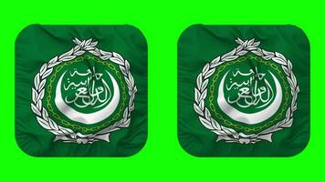 Arab League Flag in Squire Shape Isolated with Plain and Bump Texture, 3D Rendering, Green Screen, Alpha Matte video