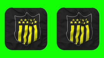 Club Atletico Penarol Flag in Squire Shape Isolated with Plain and Bump Texture, 3D Rendering, Green Screen, Alpha Matte video