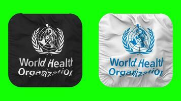 World Health Organization, WHO Flag in Squire Shape Isolated with Plain and Bump Texture, 3D Rendering, Green Screen, Alpha Matte video