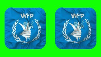 World Food Programme, WFP Flag in Squire Shape Isolated with Plain and Bump Texture, 3D Rendering, Green Screen, Alpha Matte video