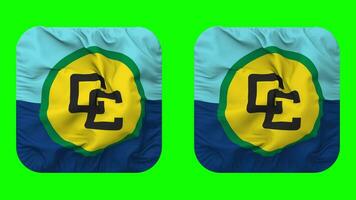 Caribbean Community, CARICOM Flag in Squire Shape Isolated with Plain and Bump Texture, 3D Rendering, Green Screen, Alpha Matte video