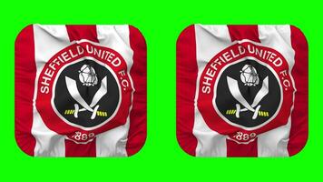 Sheffield unido fútbol americano club bandera en escudero forma aislado con llanura y bache textura, 3d representación, verde pantalla, alfa mate video