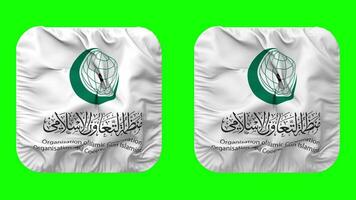 organización de islámico cooperación, oic bandera en escudero forma aislado con llanura y bache textura, 3d representación, verde pantalla, alfa mate video