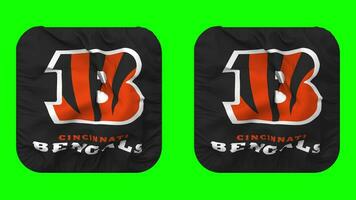 Cincinnati Bengals Flag in Squire Shape Isolated with Plain and Bump Texture, 3D Rendering, Green Screen, Alpha Matte video