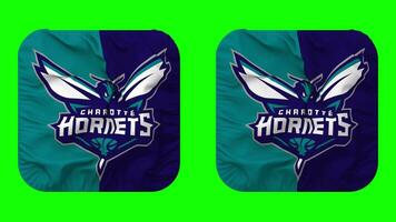 Charlotte hornets flagga i väpnare form isolerat med enkel och stöta textur, 3d tolkning, grön skärm, alfa matt video