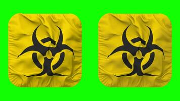 Danger biologique signe drapeau dans écuyer forme isolé avec plaine et bosse texture, 3d le rendu, vert filtrer, alpha mat video