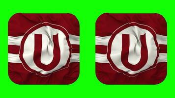 Club Universitario de Deportes Flag in Squire Shape Isolated with Plain and Bump Texture, 3D Rendering, Green Screen, Alpha Matte video