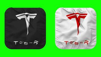 Tesla Inc Flag in Squire Shape Isolated with Plain and Bump Texture, 3D Rendering, Green Screen, Alpha Matte video