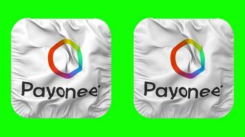 Payoneer globaal inc vlag in schildknaap vorm geïsoleerd met duidelijk en buil textuur, 3d weergave, groen scherm, alpha matte video