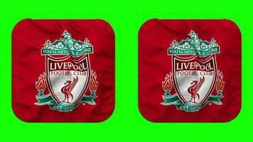 Liverpool fútbol americano club bandera en escudero forma aislado con llanura y bache textura, 3d representación, verde pantalla, alfa mate video