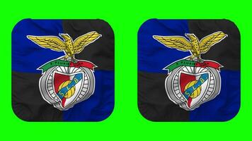 Sport Lisboa e Benfica Flag in Squire Shape Isolated with Plain and Bump Texture, 3D Rendering, Green Screen, Alpha Matte video