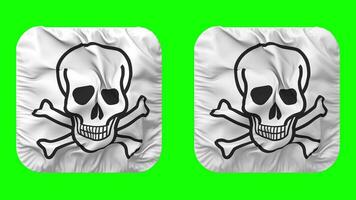 Skulls with Bones Flag in Squire Shape Isolated Seamless Looping with Plain and Bump Texture, 3D Rendering, Green Screen, Alpha Matte video