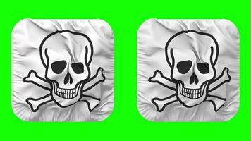 Skulls with Bones Flag in Squire Shape Isolated Seamless Looping with Plain and Bump Texture, 3D Rendering, Green Screen, Alpha Matte video