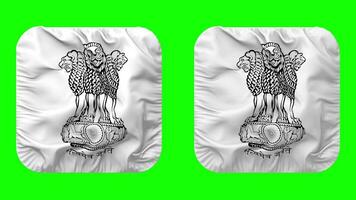 India Emblem Flag in Squire Shape Isolated with Plain and Bump Texture, 3D Rendering, Green Screen, Alpha Matte video