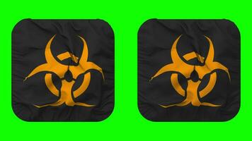 Danger biologique signe drapeau dans écuyer forme isolé avec plaine et bosse texture, 3d le rendu, vert filtrer, alpha mat video