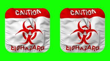 mise en garde Danger biologique signe drapeau dans écuyer forme isolé avec plaine et bosse texture, 3d le rendu, vert filtrer, alpha mat video