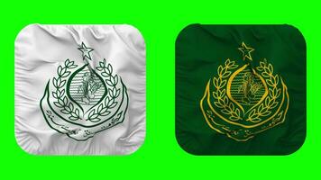 regering av sindh flagga i väpnare form isolerat med enkel och stöta textur, 3d tolkning, grön skärm, alfa matt video