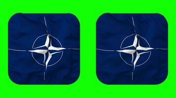 North Atlantic Treaty Organization, NATO Flag in Squire Shape Isolated with Plain and Bump Texture, 3D Rendering, Green Screen, Alpha Matte video