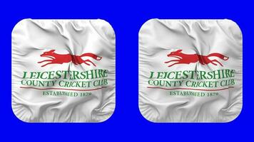 leicestershire volpi, leicestershire contea cricket club bandiera nel scudiero forma isolato con pianura e urto struttura, 3d rendering, verde schermo, alfa Opaco video