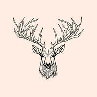 Hunting illustration hand drawn design, hunting design. hunting vector, deer head vector photo