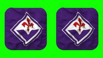 ACF Fiorentina, Fiorentina Flag in Squire Shape Isolated with Plain and Bump Texture, 3D Rendering, Green Screen, Alpha Matte video