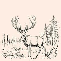 Hunting illustration hand drawn design, hunting design. hunting vector, deer head vector