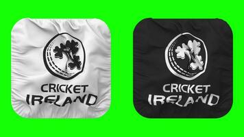 Kricket Irland, ci Flagge im Knappe gestalten isoliert mit stoßen Textur, 3d Wiedergabe, Grün Bildschirm, Alpha matt video