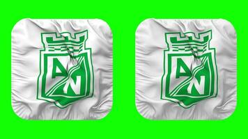 Atlético nacional sa futebol clube bandeira dentro escudeiro forma isolado com avião e colisão textura, 3d Renderização, verde tela, alfa fosco video