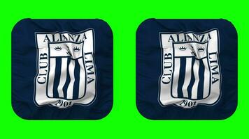 Club Alianza Lima Flag in Squire Shape Isolated with Plain and Bump Texture, 3D Rendering, Green Screen, Alpha Matte video