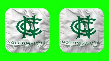 pas hors-la-loi, Nottinghamshire comté criquet club drapeau dans écuyer forme isolé avec plaine et bosse texture, 3d le rendu, vert filtrer, alpha mat video