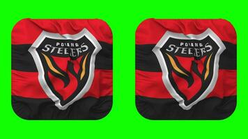 pohang aciers Football drapeau dans écuyer forme isolé avec plaine et bosse texture, 3d le rendu, vert filtrer, alpha mat video