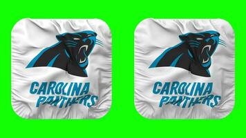 Carolina Panther Flagge im Knappe gestalten isoliert mit einfach und stoßen Textur, 3d Wiedergabe, Grün Bildschirm, Alpha matt video