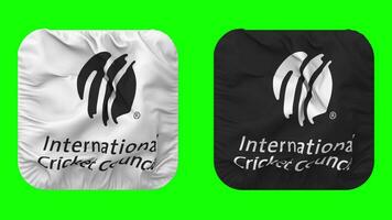 international criquet conseil, CCI drapeau dans écuyer forme isolé avec bosse texture, 3d le rendu, vert filtrer, alpha mat video