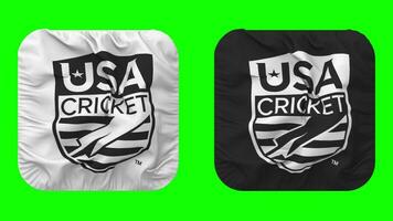 United States National Cricket Team, USACA Flag in Squire Shape Isolated with Bump Texture, 3D Rendering, Green Screen, Alpha Matte video