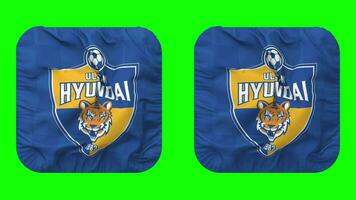 Ulsan Hyundai FC Flag in Squire Shape Isolated with Plain and Bump Texture, 3D Rendering, Green Screen, Alpha Matte video