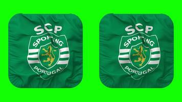 Sporting Clube de Portugal, Sporting CP Flag in Squire Shape Isolated with Plain and Bump Texture, 3D Rendering, Green Screen, Alpha Matte video