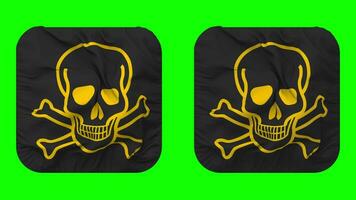 Skulls with Bones Flag in Squire Shape Isolated Seamless Looping with Plain and Bump Texture, 3D Rendering, Green Screen, Alpha Matte video