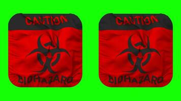 mise en garde Danger biologique signe drapeau dans écuyer forme isolé avec plaine et bosse texture, 3d le rendu, vert filtrer, alpha mat video