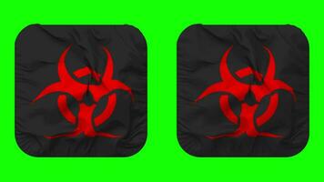peligro biológico firmar bandera en escudero forma aislado con llanura y bache textura, 3d representación, verde pantalla, alfa mate video