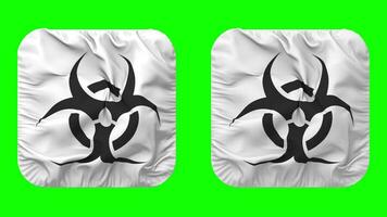 Danger biologique signe drapeau dans écuyer forme isolé avec plaine et bosse texture, 3d le rendu, vert filtrer, alpha mat video