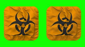 Danger biologique signe drapeau dans écuyer forme isolé avec plaine et bosse texture, 3d le rendu, vert filtrer, alpha mat video