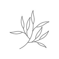 Leaves icon vector design line isolated white background