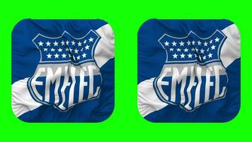 club deporte emelec bandera en escudero forma aislado con llanura y bache textura, 3d representación, verde pantalla, alfa mate video