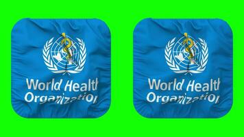 mundo salud organización, quien bandera en escudero forma aislado con llanura y bache textura, 3d representación, verde pantalla, alfa mate video