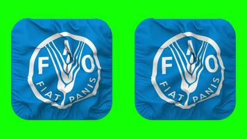 Food and Agriculture Organization, FAO Flag in Squire Shape Isolated with Plain and Bump Texture, 3D Rendering, Green Screen, Alpha Matte video