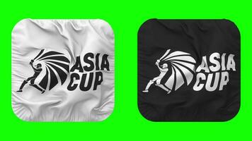 Asia Cup Flag in Squire Shape Isolated with Plain and Bump Texture, 3D Rendering, Green Screen, Alpha Matte video