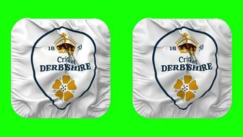 derbyshire faucons, derbyshire comté criquet club drapeau dans écuyer forme isolé avec plaine et bosse texture, 3d le rendu, vert filtrer, alpha mat video